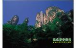 網(wǎng)絡(luò)熱門純玩游：張家界、天子山、袁家界、楊家界 自助三日游
