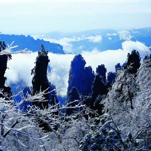 LD線：張家界、天子山、楊家界、猛洞河漂流純玩四日游