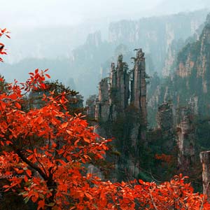 休閑自駕E線：張家界、袁家界、天子山、寶峰湖、鳳凰古城、沱江泛舟四晚五日游