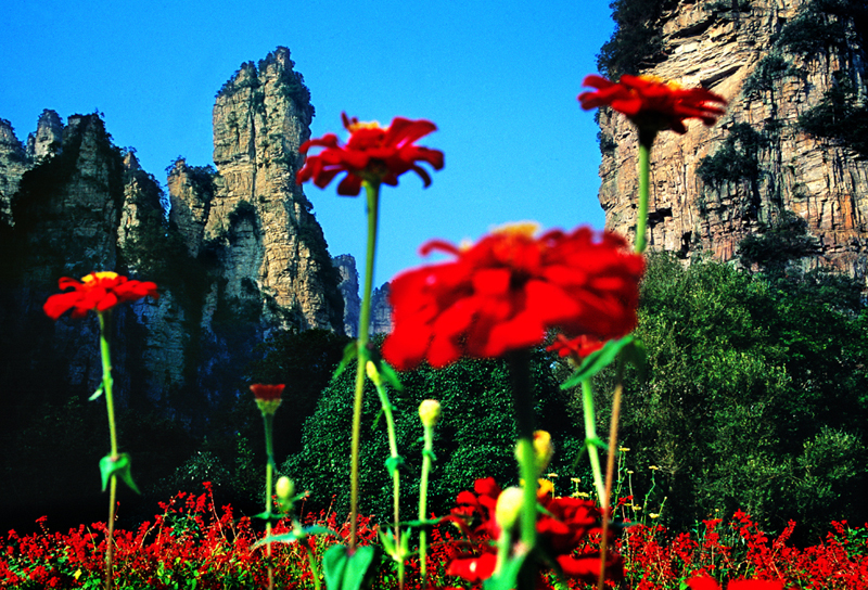LF線：張家界國(guó)家森林公園、猛洞河漂流、鳳凰古城純玩自助五日游